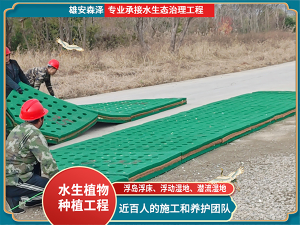 浮动湿地施工现场 (1)